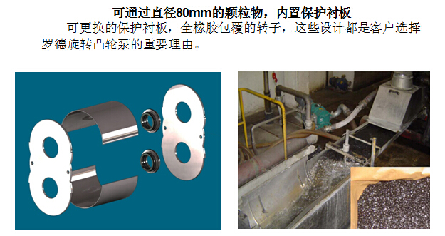 凸轮5G天天看天天爽