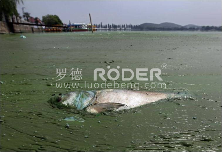 天天影视综合网凸轮5G天天看天天爽