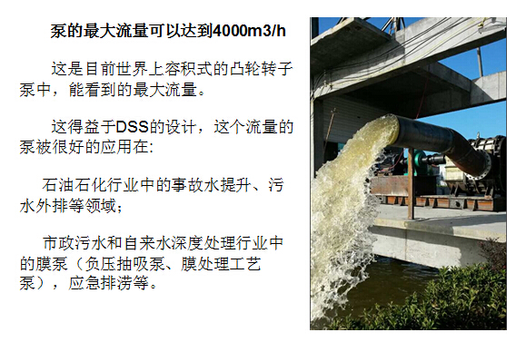 天天影视综合网凸轮5G天天看天天爽大流量