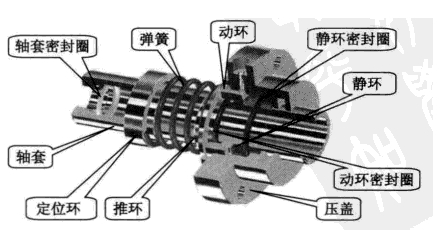 天天影视综合网5G天天看天天爽的机械密封